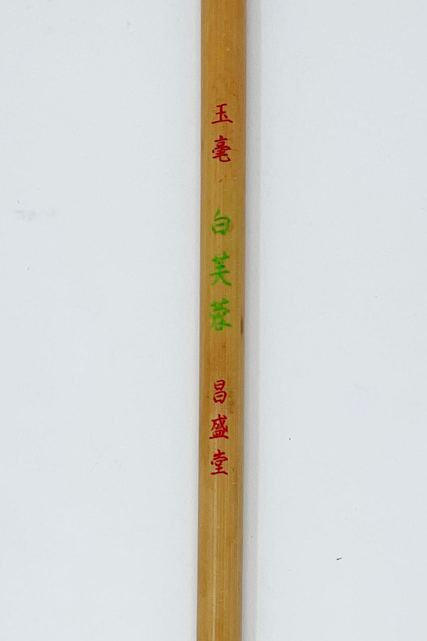 白芙蓉